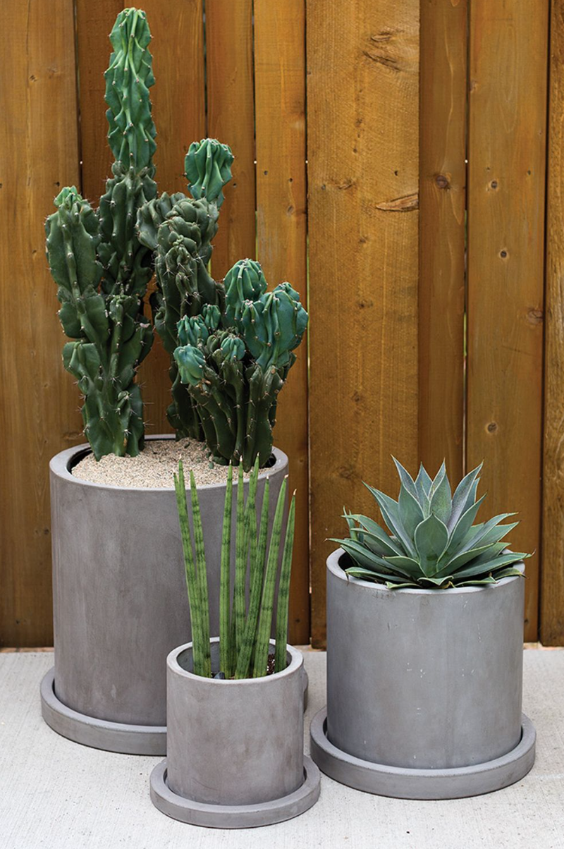 Enhance Your Living Environment with Marta Planter