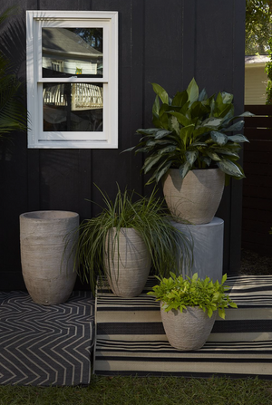 Bring Nature Indoors: Murphy Planter for Your Plants