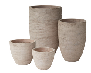 Add Charm to Your Living Space with Murphy Planter
