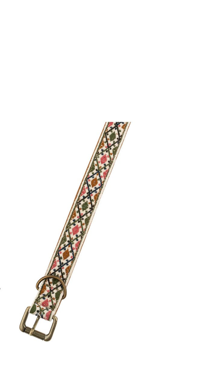 Asher Collar