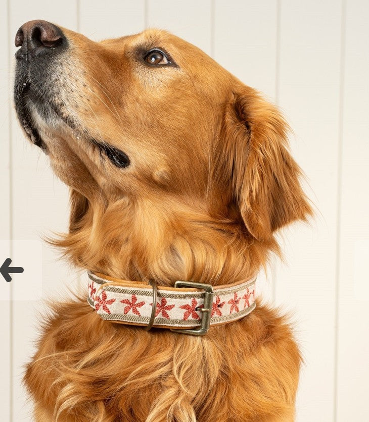 Finch Collar