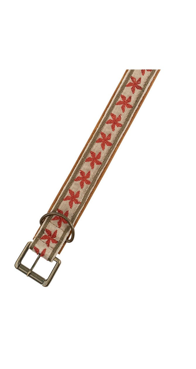 Finch Collar