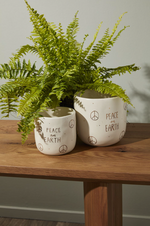 Bring Harmony to Your Room with the Peace on Earth Pot