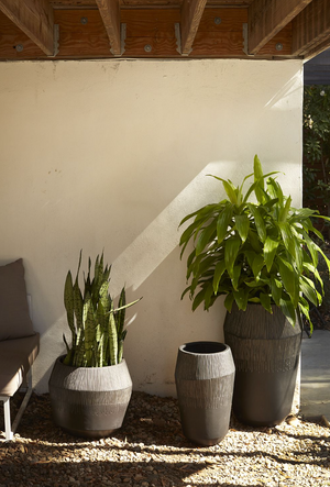Elevate Your Greenery with the Stylish Jeva Planter